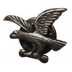 Poľsko(?), Odznak Sokola