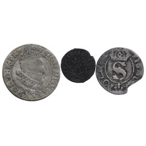 Zikmund III Vasa, sada mincí s průkazem