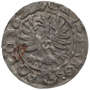 Žigmund III Vasa, Grosz 162(?)