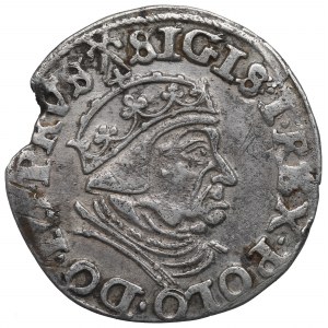 Žigmund I. Starý, Trojak 1539, Gdansk