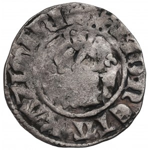 Kazimír III Veliký, Velká čtvrtka (půlpenny) Krakov