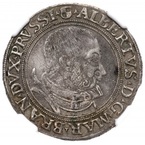 Knížecí Prusko, Albreht Hohenzollern, šestý z roku 1535, Königsberg - NGC AU Det.