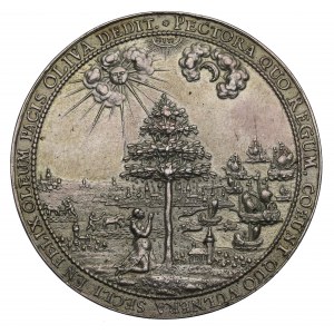 Jan II Kazimír, medaile míru v Olivě 1660, Höhn - stříbrný odlitek