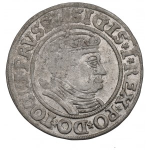 Sigismund I the Old, Groschen for Prussia 1535, Thorn