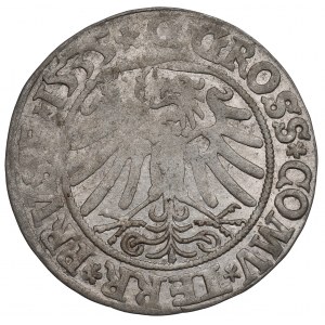 Žigmund I. Starý, Grosz dla ziem ziemii pruskich 1535, Toruń - destrukt