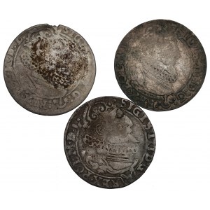 Sigismund III. Vasa, Sechserpackung 1624-26