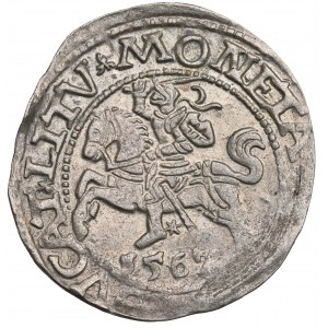 Sigismund II. Augustus, Halbpfennig 1562, Wilna - L/LITV