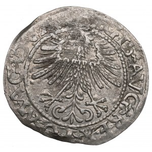 Sigismund II. Augustus, Halbpfennig 1562, Wilna - L/LITV