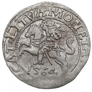 Sigismund II Augustus, Half-groat 1564, Vilnius, L/LITVA