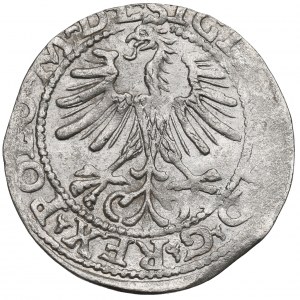 Zikmund II August, půlgroš 1564, Vilnius, L/LITVA