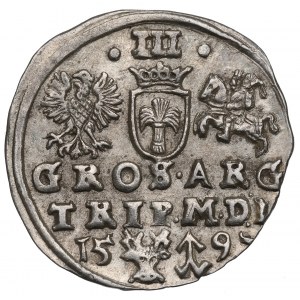 Žigmund III Vasa, Trojka 1597, Vilnius