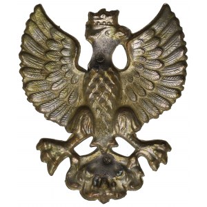 II RP, Greater Poland Army, Eagle wz.1919