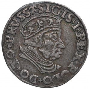 Sigismund I. der Alte, Trojak 1537, Gdańsk