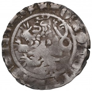 Böhmen, Karl IV., Prager Pfennig