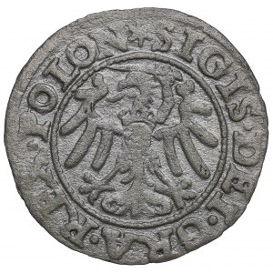 Sigismund I the Old, Schilling 1546, Danzig