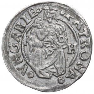 Hungary, Vladislaus II, Denarius 1508