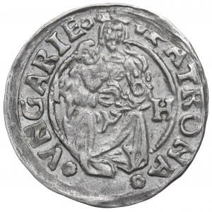 Węgry, Władysław II Jagiellończyk, Denar 1508