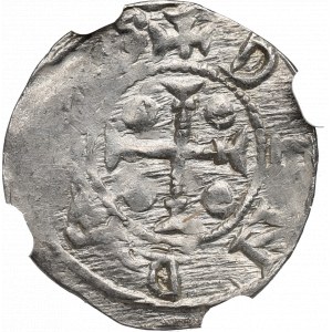 Boleslaus III, Denarius