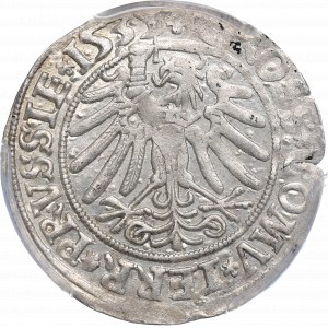 Sigismund I the Old, Groschen for Prussia 1535, Thorn - PCGS AU58