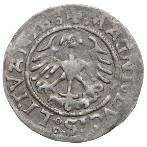 Zikmund I. Starý, půlgroš 1521, Vilnius - RARE MONE^A