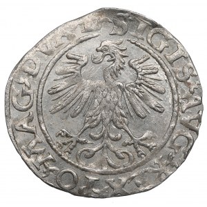 Sigismund II Augustus, Halfgroat 1560, Vilnius - L/LITV