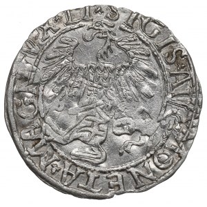 Sigismund II Augustus, Halfgroat Vilnius