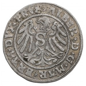 Knížecí Prusko, Albrecht Hohenzollern, Penny 1529, Königsberg - RARE