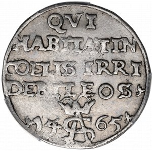 Zikmund II Augustus, Posměšný Troják 1565, Tykocin - LIT PCGS AU Podrobnosti