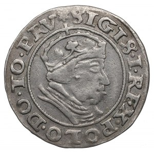 Sigismund I the Old, Groschen 1540, Danzig