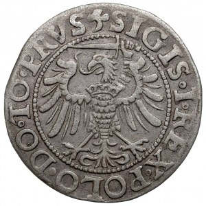 Zikmund I. Starý, Grosz 1539, Elbląg