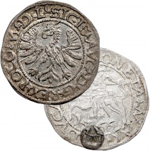 Zikmund II August, půlgroše 1566, Tykocin, Jastrzębiec - KRÁSNÝ