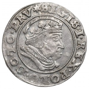 Sigismund I the Old, Groschen 1540, Danzig