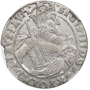 Zikmund III Vasa, Ort 1624, Bydgoszcz - PRV M KOKARDY NGC AU Podrobnosti