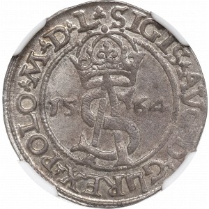 Zikmund II Augustus, Trojak 1564, Vilnius - L/L NGC MS62