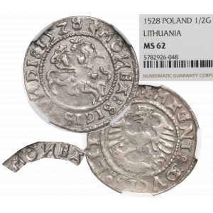 Zikmund I. Starý, půlpenny 1528, Vilnius - rarita MONEA NGC MS62