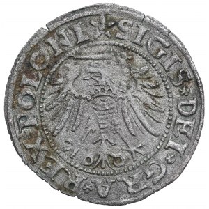 Sigismund I the Old, Schilling 1532, Danzig