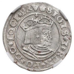 Zikmund I. Starý, pruský groš 1529, Toruň - PRV/PRVSS NGC MS61