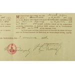 Dyplom pomocnika handlowego, 1926r, Kraków.