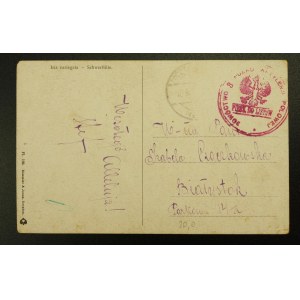Polish Legions postcard, 8 PAP