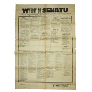 The big poster - the 1928 senate election