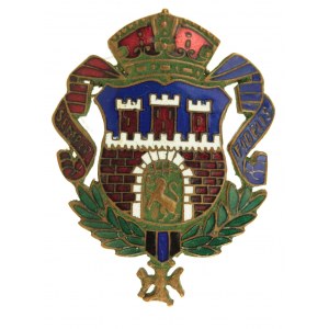 Patriotic badge Semper Fidelis - Lviv