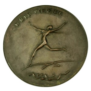 Medal Waldenburg (Wałbrzych), brąz, Dubois.