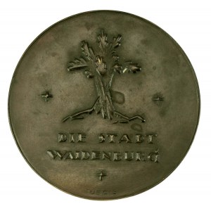 Medal Waldenburg (Wałbrzych), brąz, Dubois.