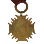 Bronzenes Verdienstkreuz der Republik Polen (frühe Nachkriegszeit), Caritas