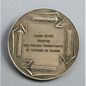 Medaille aus Silber. Frankreich. Durchmesser 68 mm, Gewicht 133,2 g.