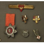 Set of military and civilian decorations and insignia from the communist period