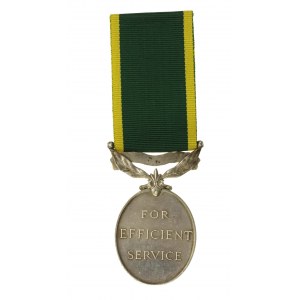Brytyjskie odznaczenie The Efficiency Medal