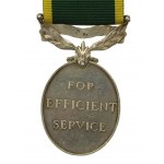 Britische Auszeichnung The Efficiency Medal