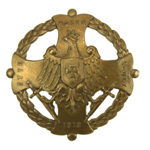 Badge, For Volhynia - Styr Horyń Słucz - 1919