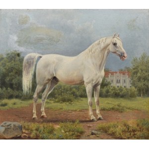 NIKUTOWSKI, XX w., Portret konia arabskiego - Rustana